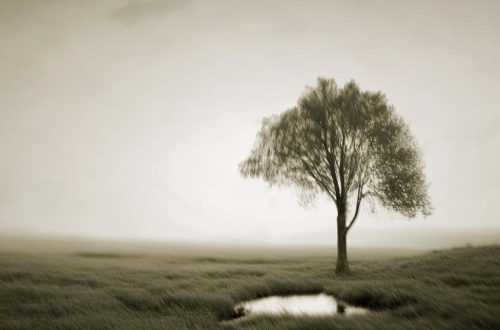 小红书上怎么快速涨粉缩略图