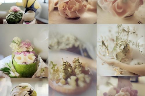 小红书粉丝排名前十缩略图